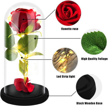 Preserved Red Rose – Perfect Gifts for Valentine's Day, Birthdays, and other occasions