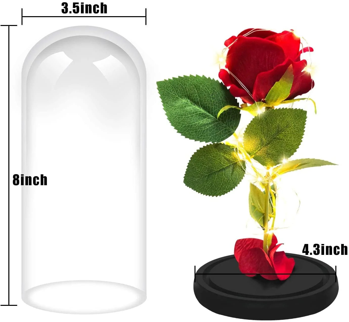 Preserved Red Rose – Perfect Gifts for Valentine's Day, Birthdays, and other occasions