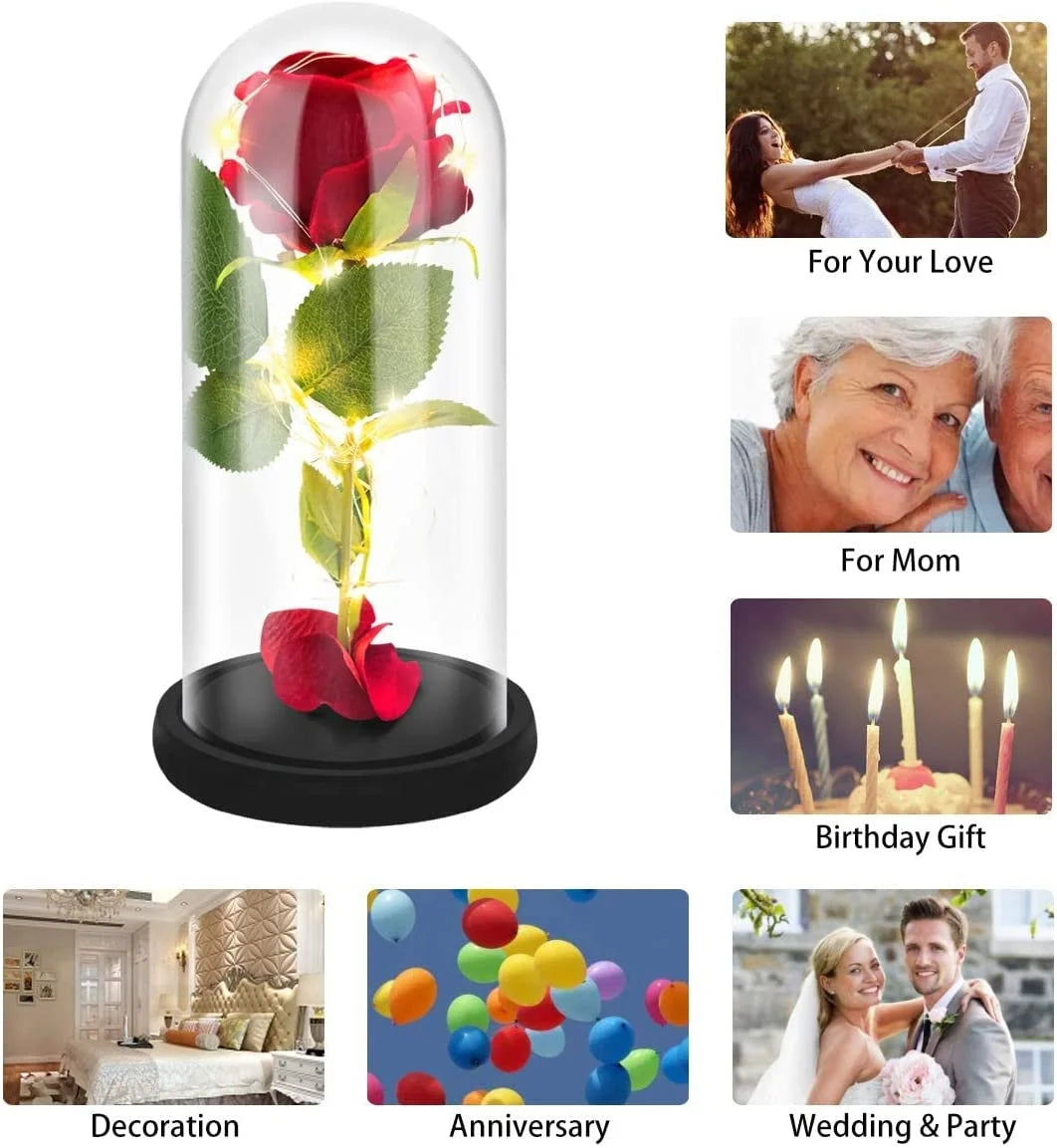 Preserved Red Rose – Perfect Gifts for Valentine's Day, Birthdays, and other occasions